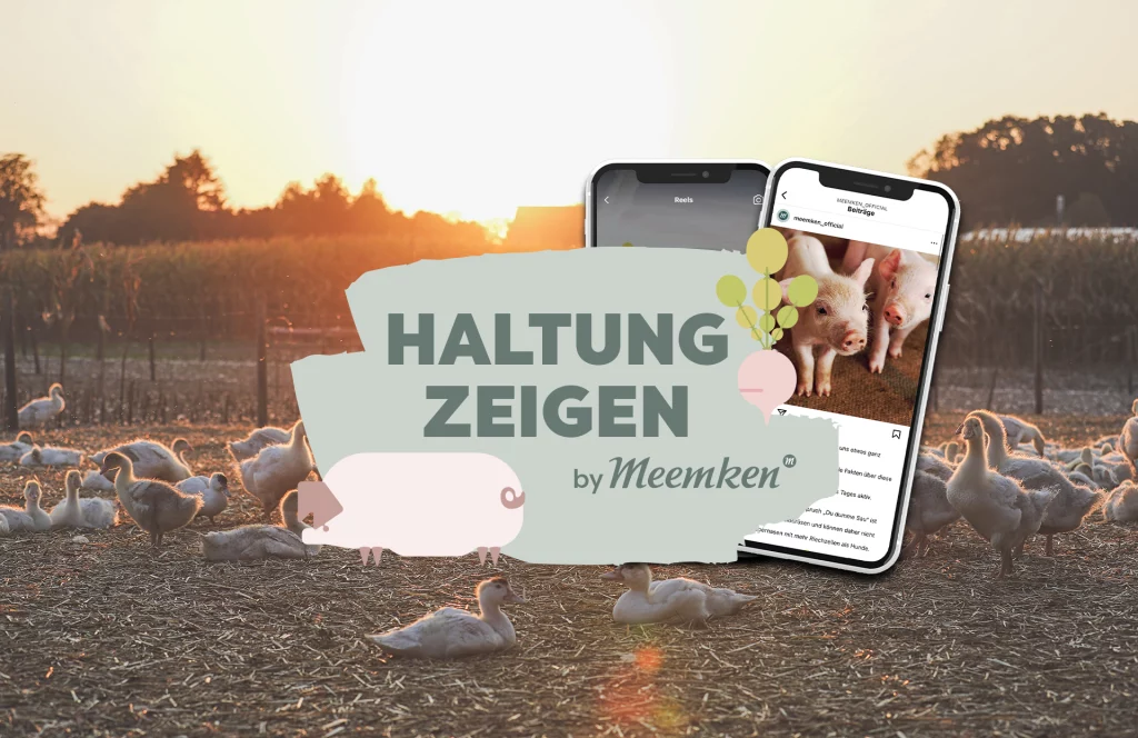 Meemken Referenz HeaderBild 1