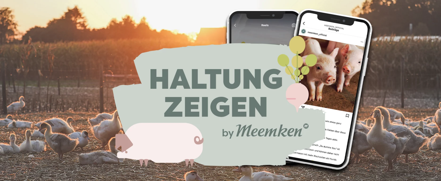 Jung&Billig - 25 • Werbeagentur svg+xml;charset=utf