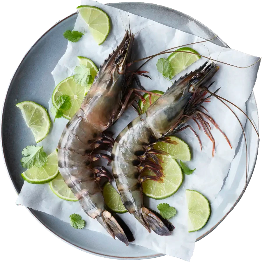 Teller mit zwei Garnelen und Limetten von oben