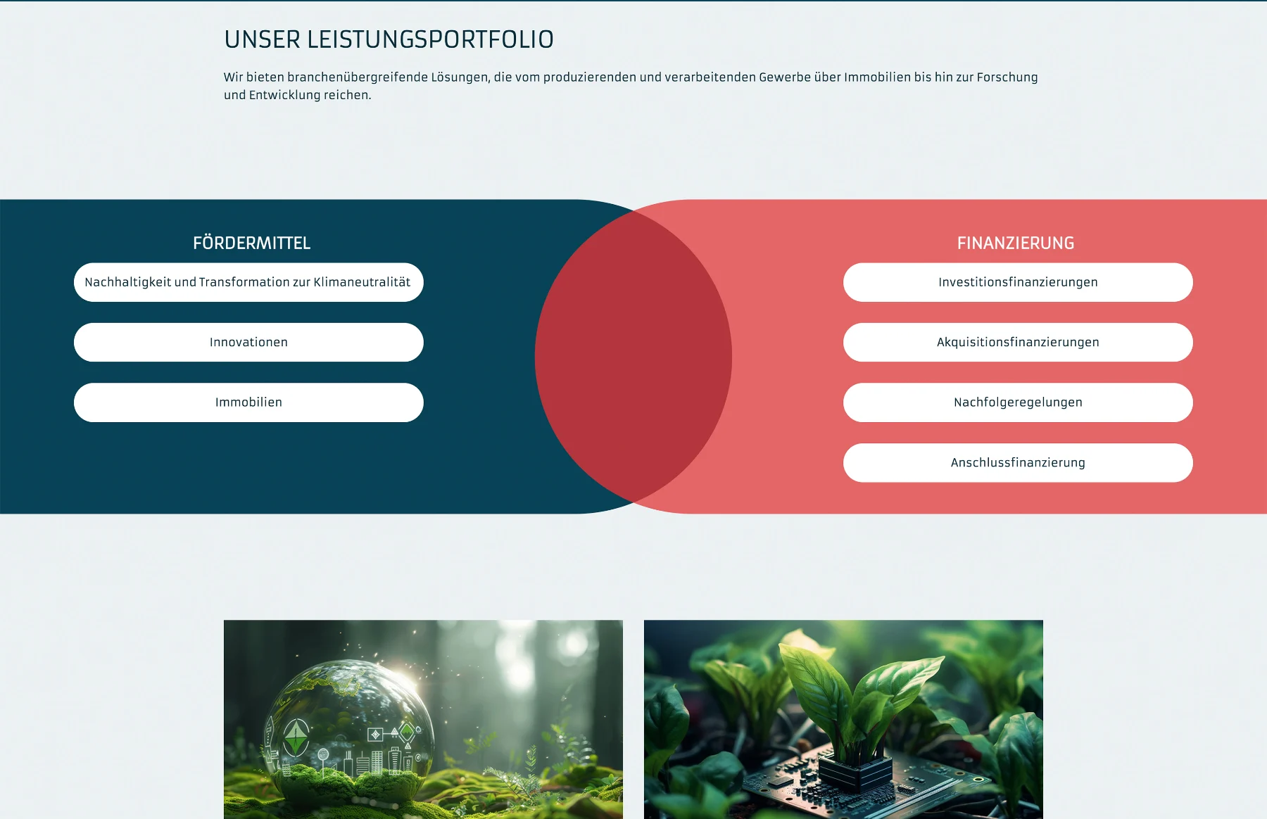 REM Capital - 2 • REM Capital Leistungsportfolio auf remcapital.de: Fördermittel und Finanzierung als Schnittmenge
